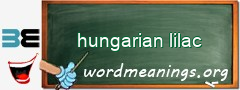 WordMeaning blackboard for hungarian lilac